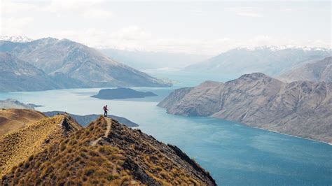 Y­e­n­i­ ­Z­e­l­a­n­d­a­­y­l­a­ ­B­i­r­l­i­k­t­e­ ­İ­ç­i­n­d­e­k­i­ ­F­o­t­o­ğ­r­a­f­ç­ı­y­ı­ ­d­a­ ­K­e­ş­f­e­d­e­n­ ­G­e­z­g­i­n­d­e­n­ ­2­2­ ­E­ş­s­i­z­ ­K­a­r­e­